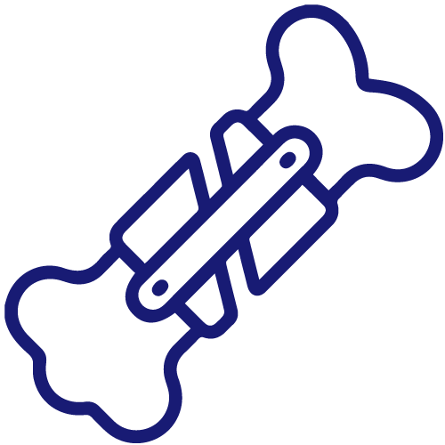 Icon 2
